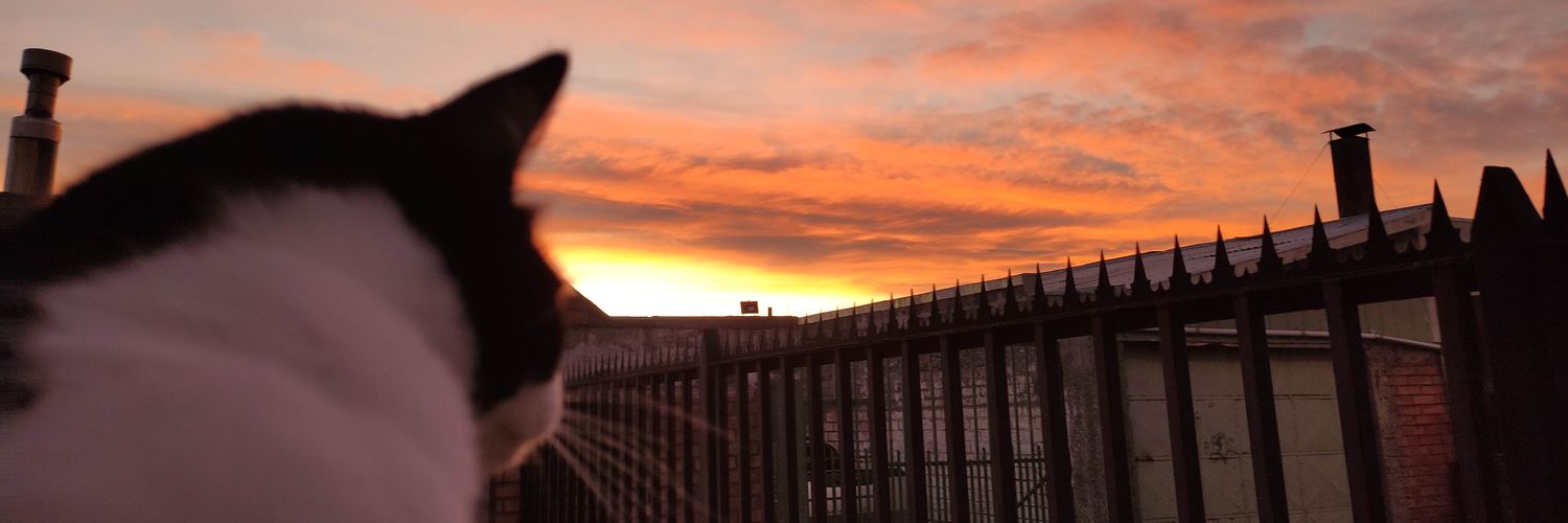 🌳Hija de la Luna #38% 💖 banner