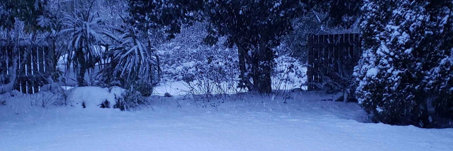 CptCharles(Alexander) banner