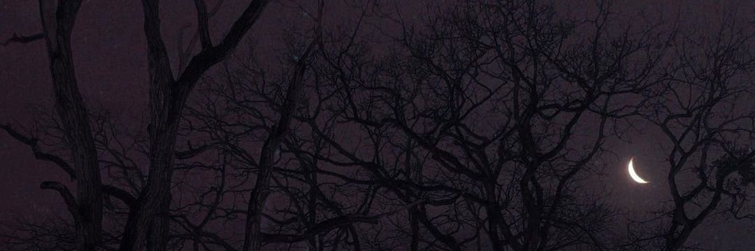 folkyrie's profile banner image