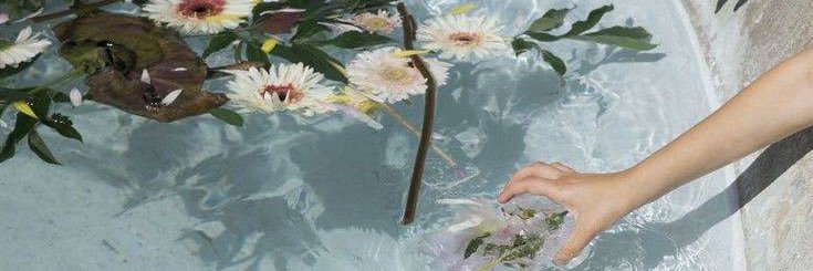 seraalala's profile banner image