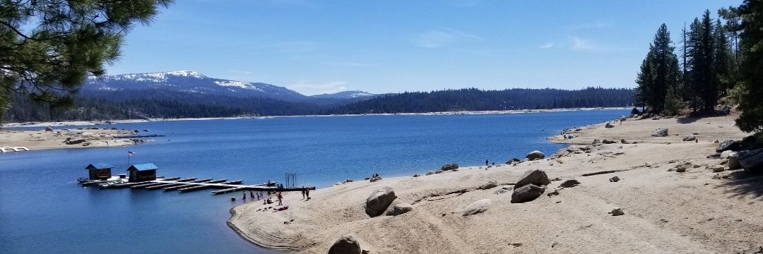 🇺🇲Michelle🇺🇲 banner