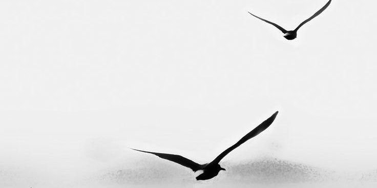 sewo_ask's profile banner image