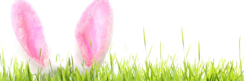 Foreverplay_'s profile banner image