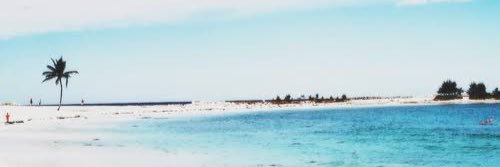 rkhaprl's profile banner image