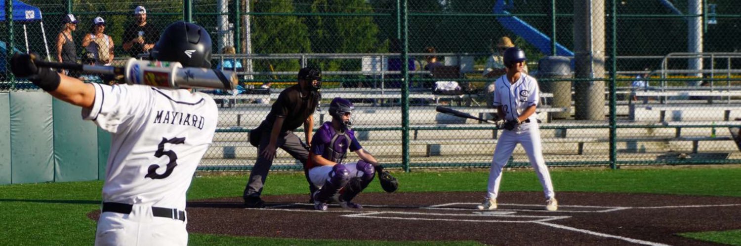 Gavin Maynard banner