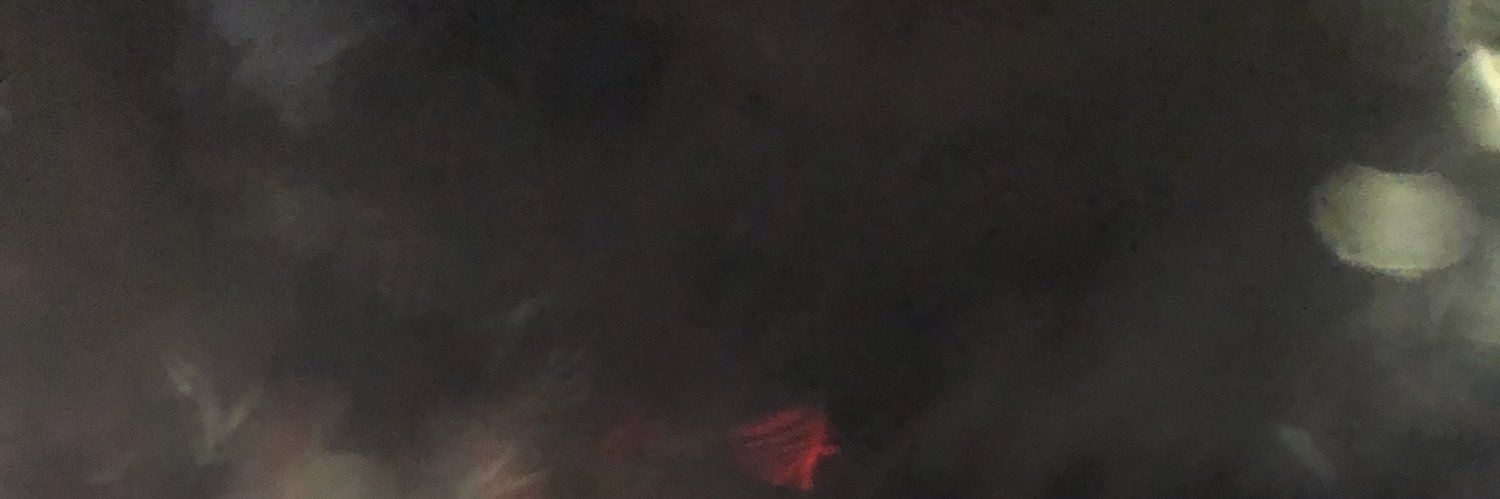 ris banner