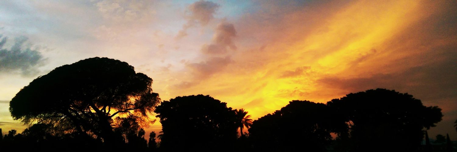 CristobalMiro's profile banner image