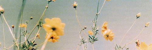 deaanadia's profile banner image