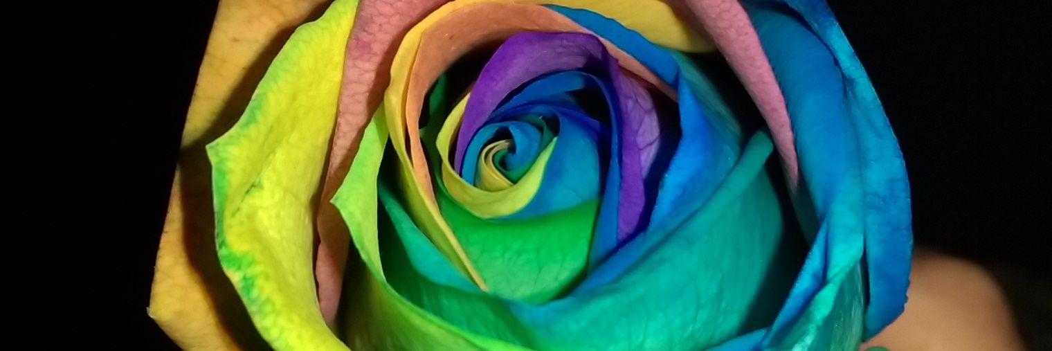 EmHaines93's profile banner image