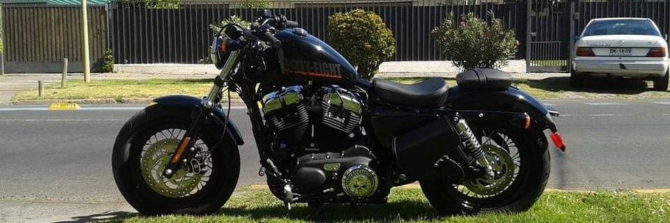 GranDanes70's profile banner image