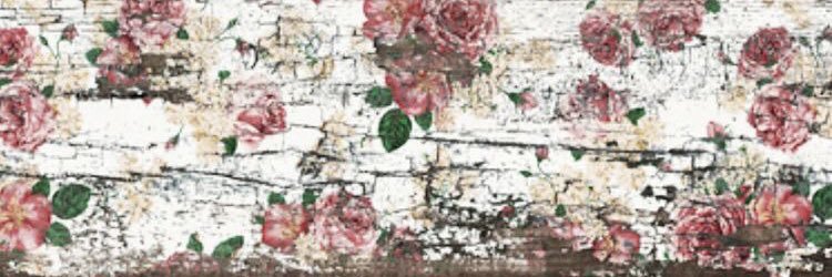 doly2o's profile banner image