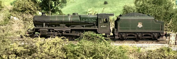 N_Amberfield Profile Banner