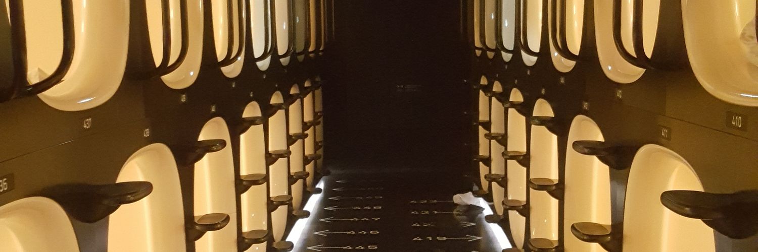 Fulngxisi's profile banner image