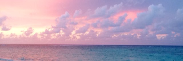 gelorton's profile banner image