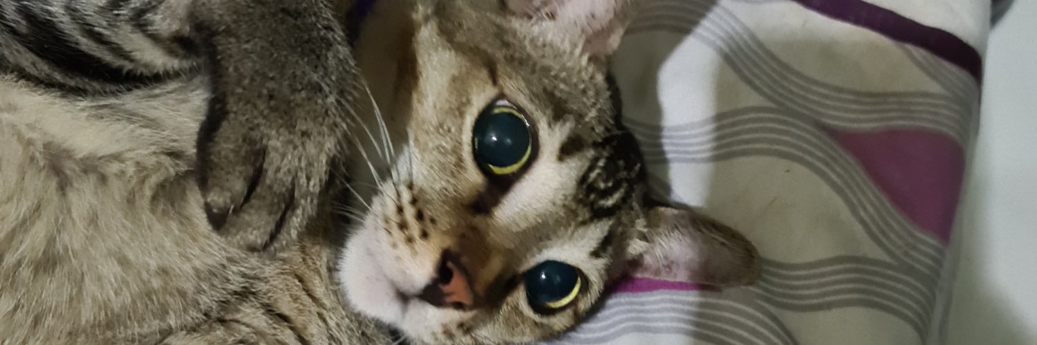 AlwaysBuyAtATH's profile banner image