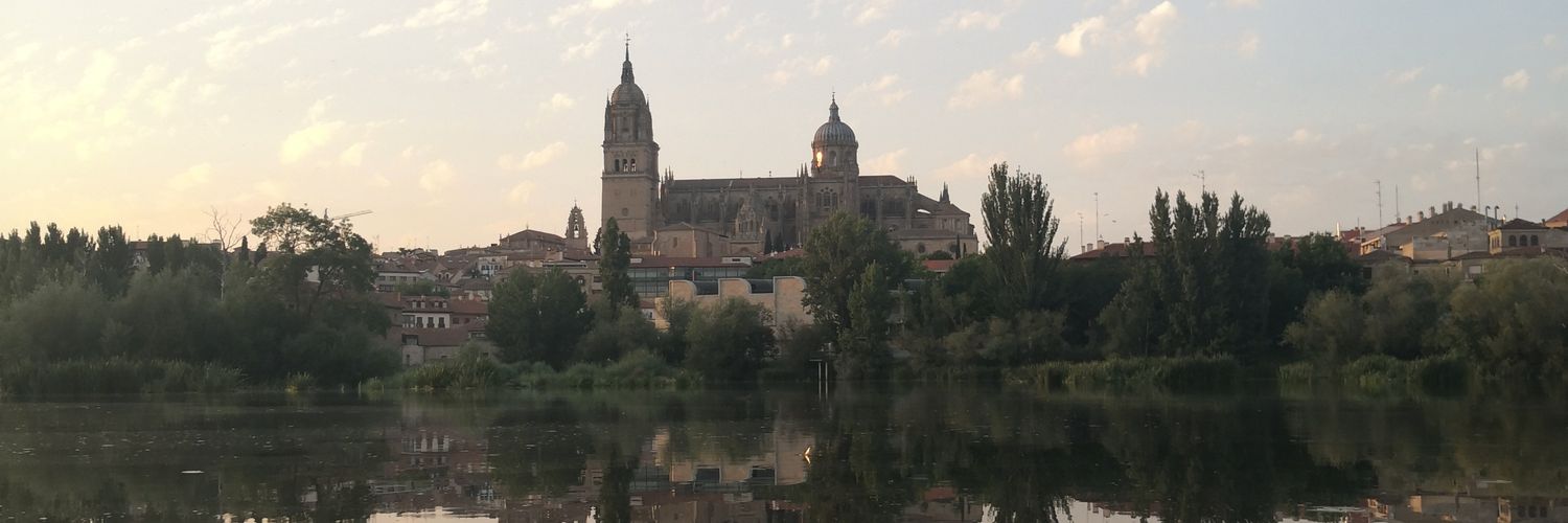 Álvaro 🇮🇨 banner