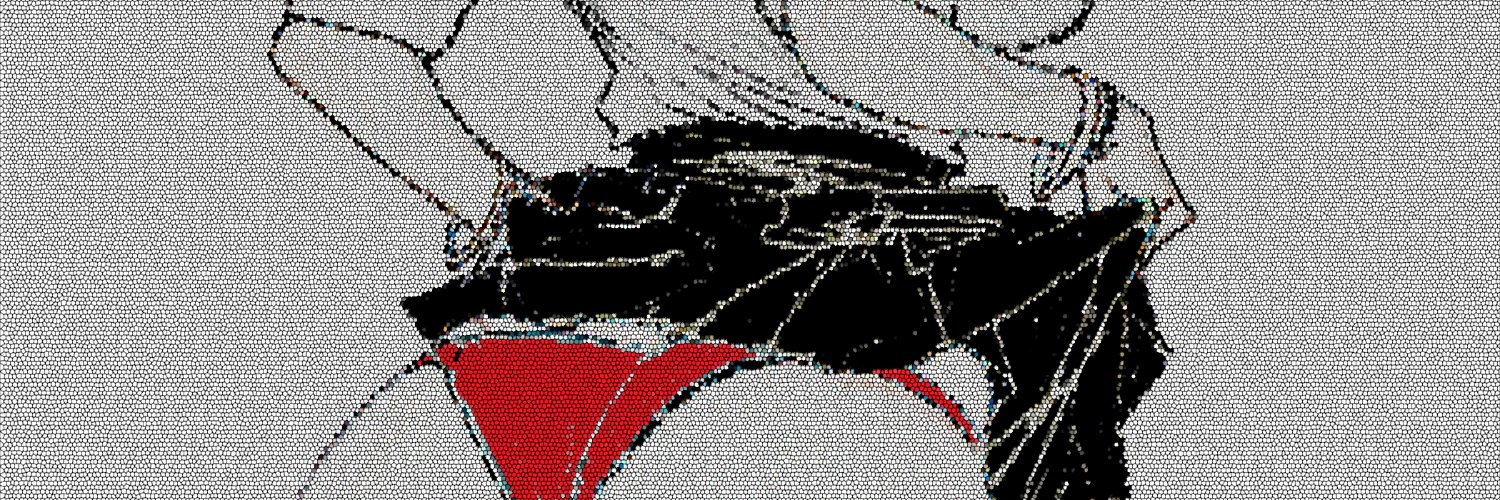 anon_vagabond's profile banner image