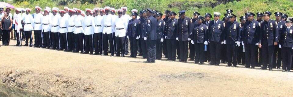 NYPD GALEA banner