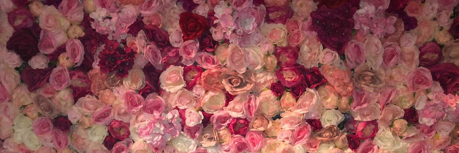 EMMA banner