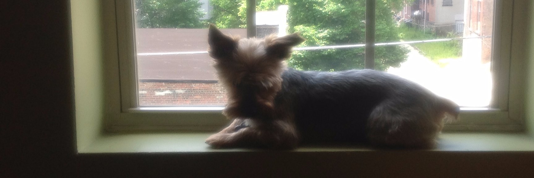 Boom Sneakers banner