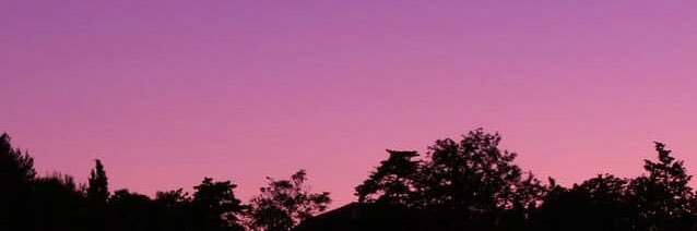 NiilseG's profile banner image