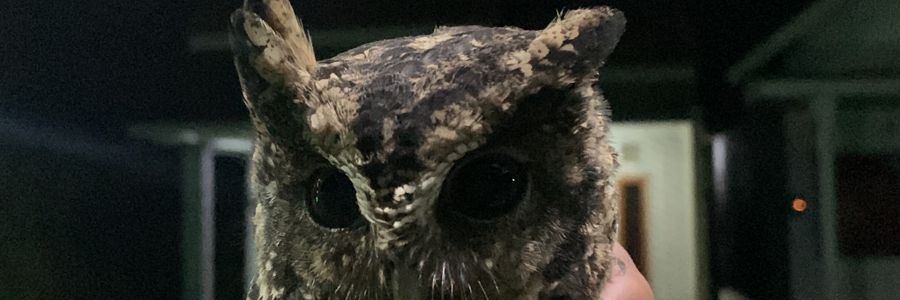 abdillahar_'s profile banner image
