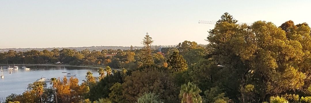 Amber Sheldon banner