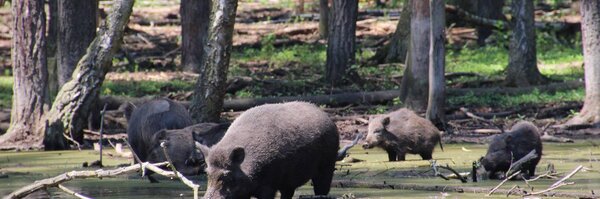 VORSPRUNG2 Profile Banner