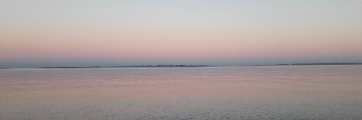 Daniel Nikulin banner