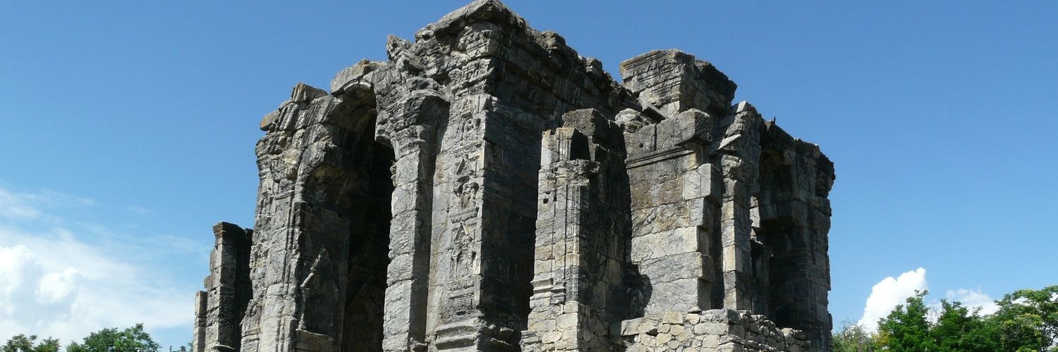 Dr.SushmaShallakaul🇮🇳 banner