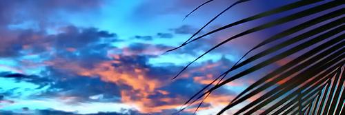 Adam Naseer Ibrahim banner