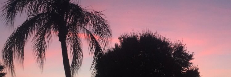 amberclausheide's profile banner image
