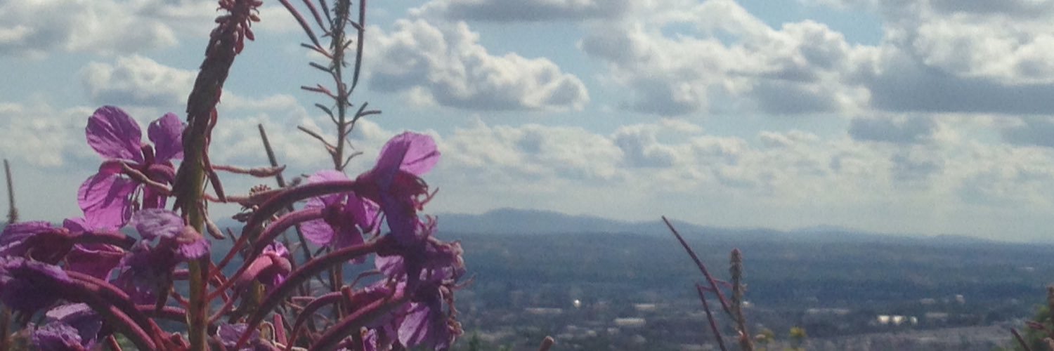 gerard_magee's profile banner image