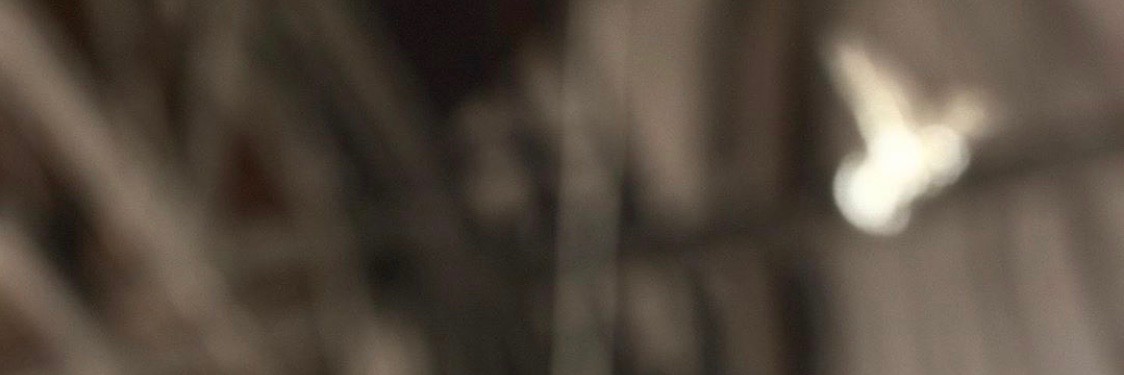 alptra_'s profile banner image
