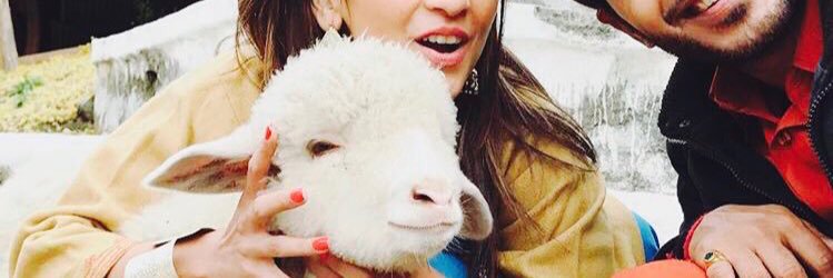 adoringdua's profile banner image