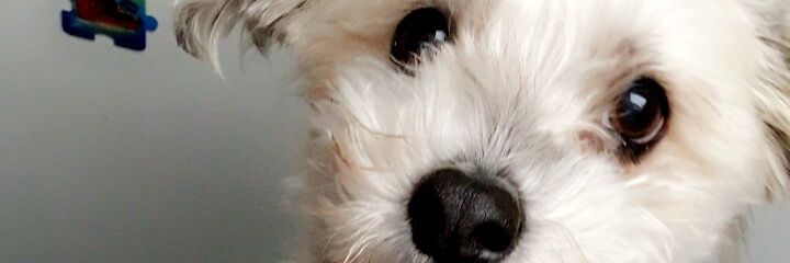 VivienC's profile banner image