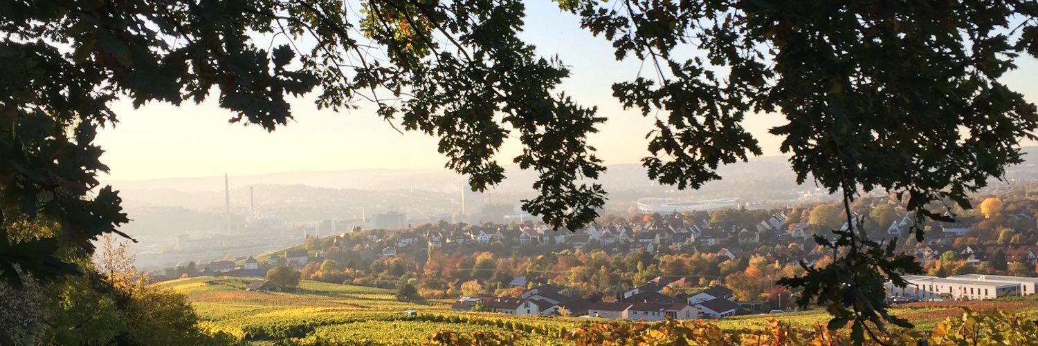 Julia Endrös banner