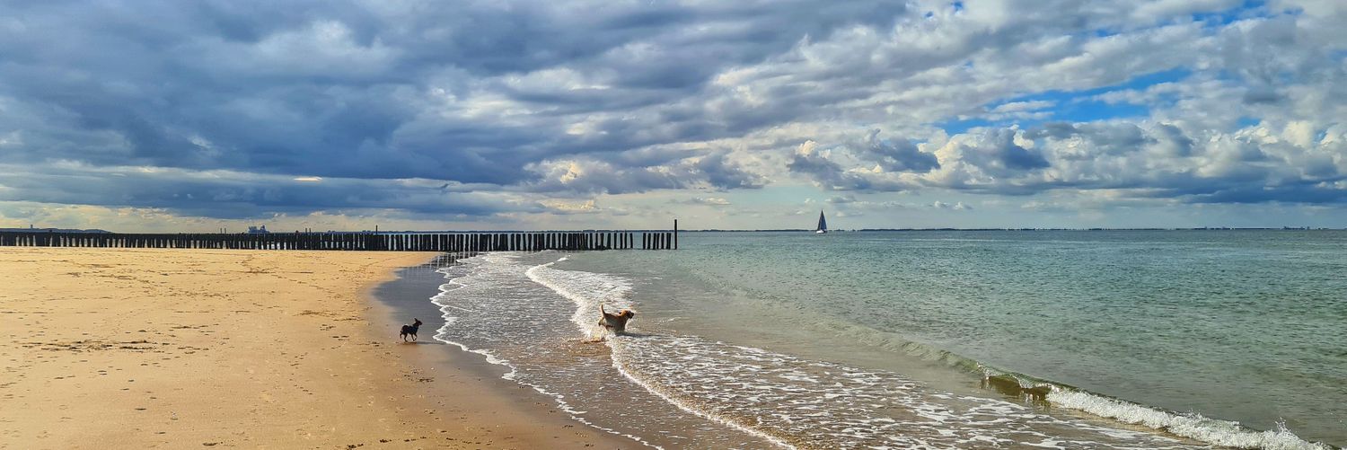 Marga Teulings banner