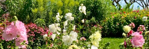 jpentlandart Profile Banner