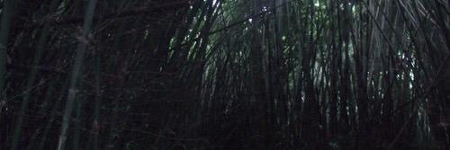 gilinskyftdrew's profile banner image