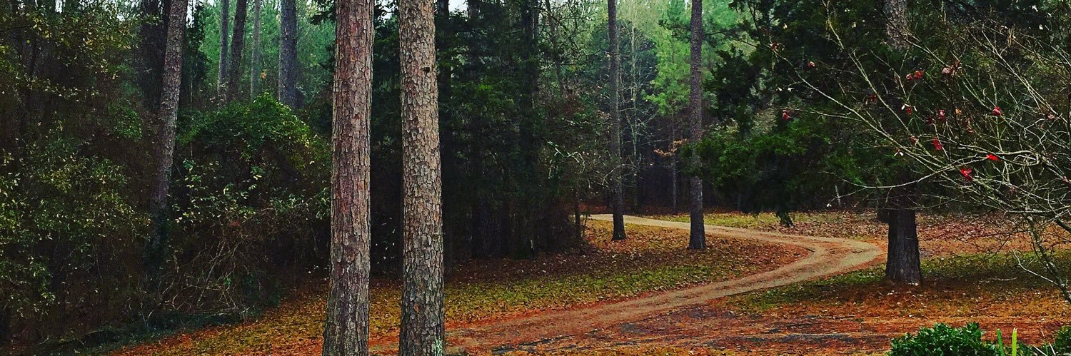 jrlion14's profile banner image