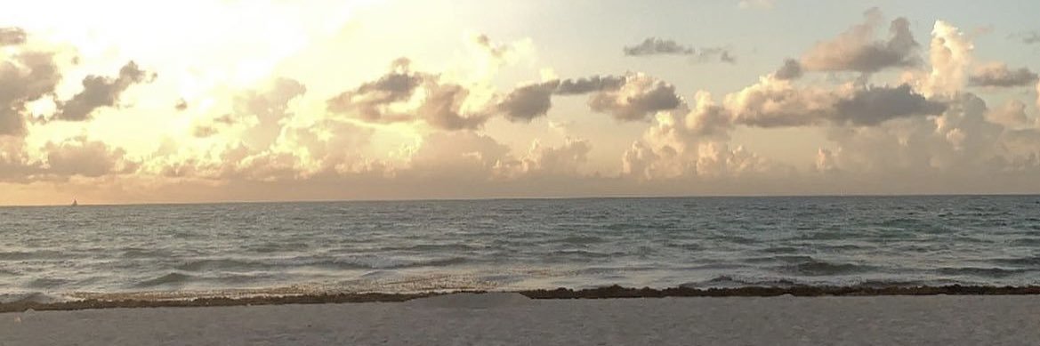 PradaRod624's profile banner image