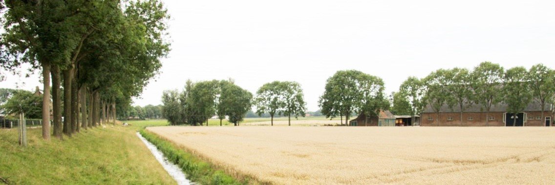 NAP Albrandswaard banner