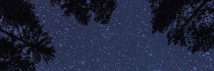 berbisgo's profile banner image