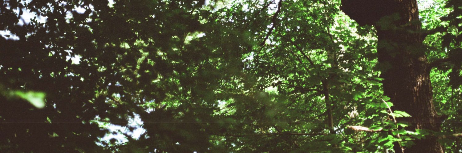 bethyfox1's profile banner image