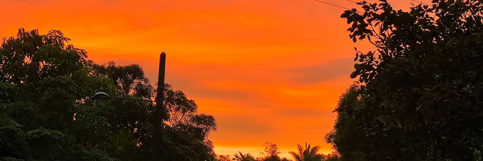 rayannecoutoo's profile banner image