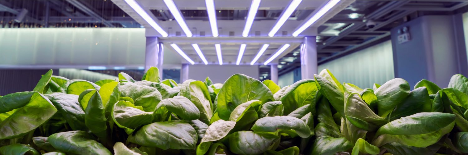 Agrohack Conference banner