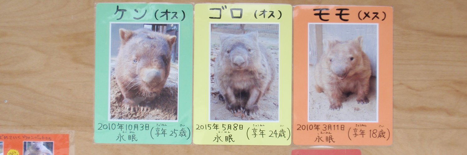 かペちょろ's banner