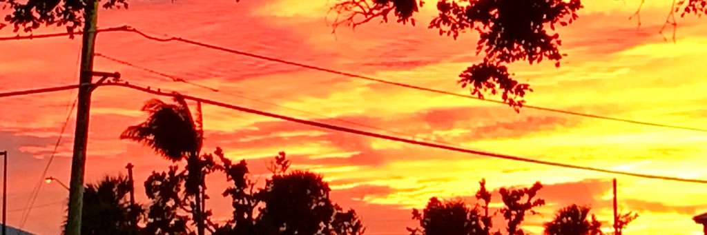 fear_less_84's profile banner image