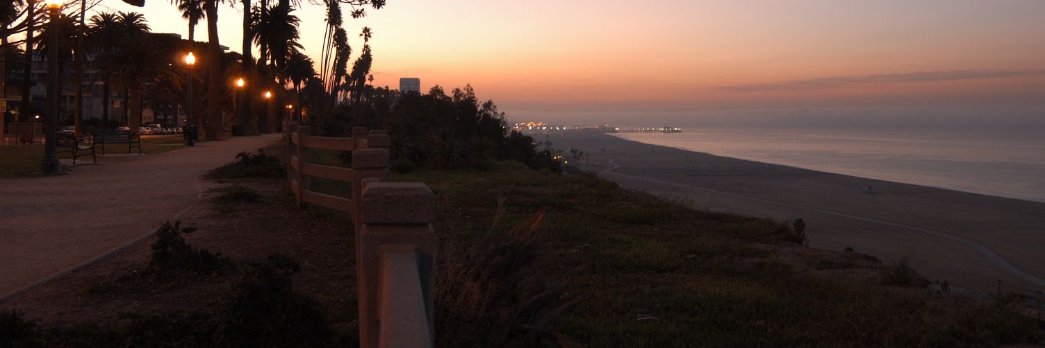 Pepperjane 🦊 banner